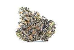 Buy Apple Fritter Cannabis Strain online