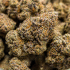 Cookies and Cream Marijuana Strain