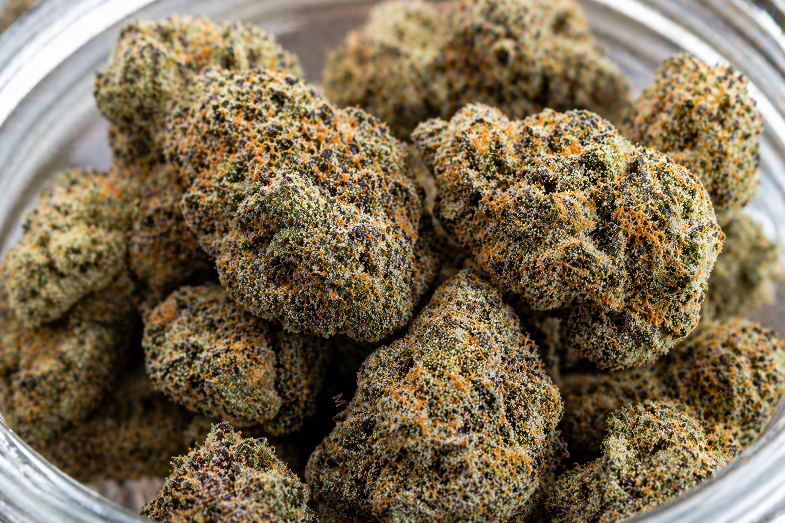 Cookie OG Weed Strain