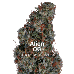 http://superlemonhaze.de/
