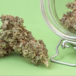 Alien Cookies Cannabis