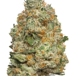 Buy Apple Fritter Cannabis Strain online