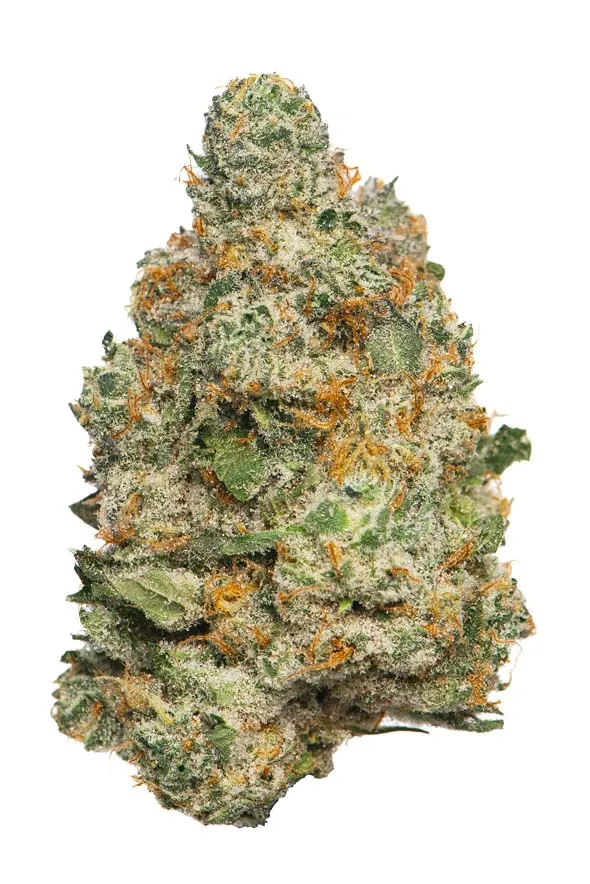 Buy Apple Fritter Cannabis Strain online