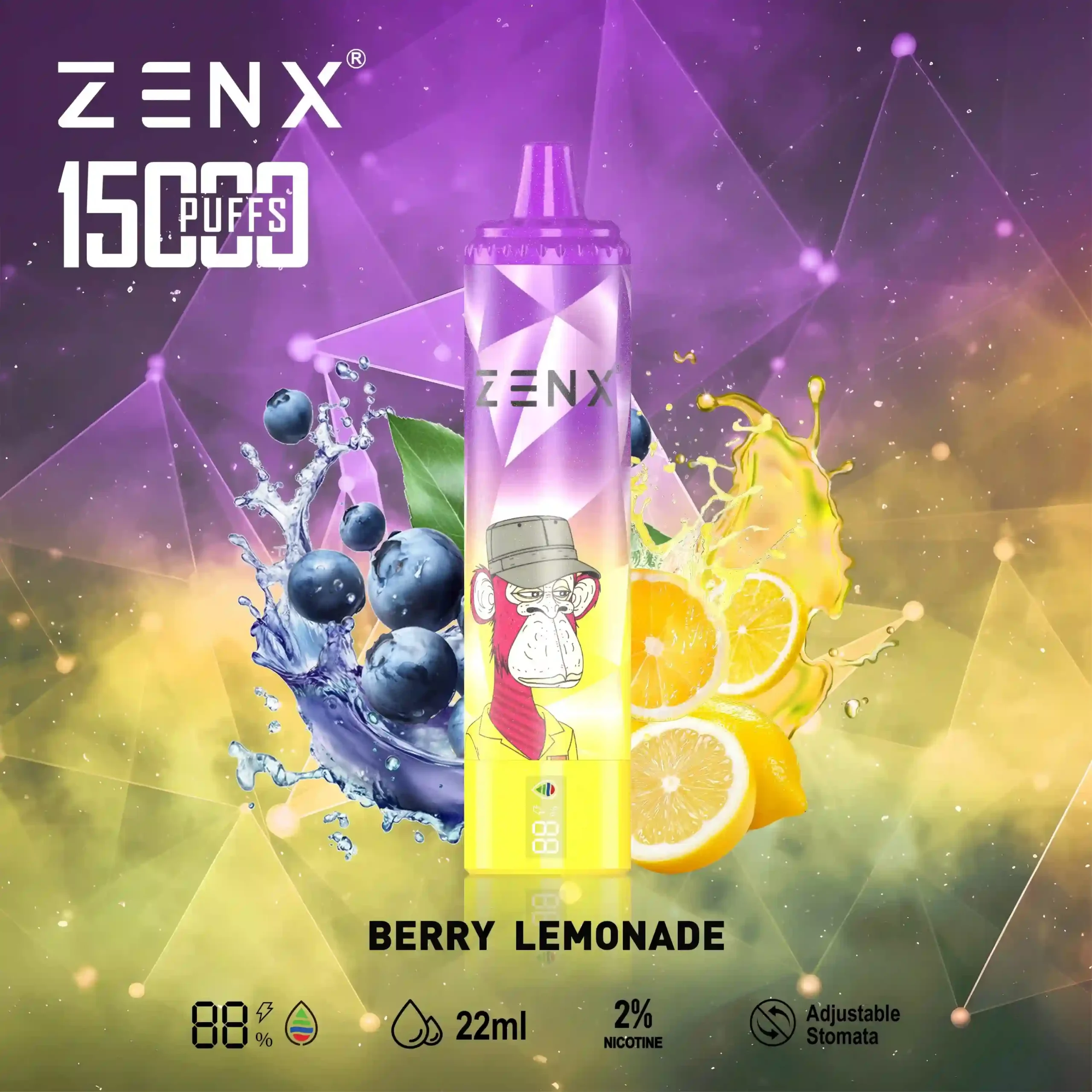 Berry Lemonade