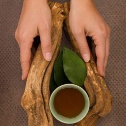 Ayahuasca Online for Sale
